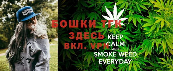 индика Тайга