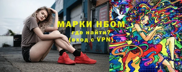 Альфа ПВП Магадан