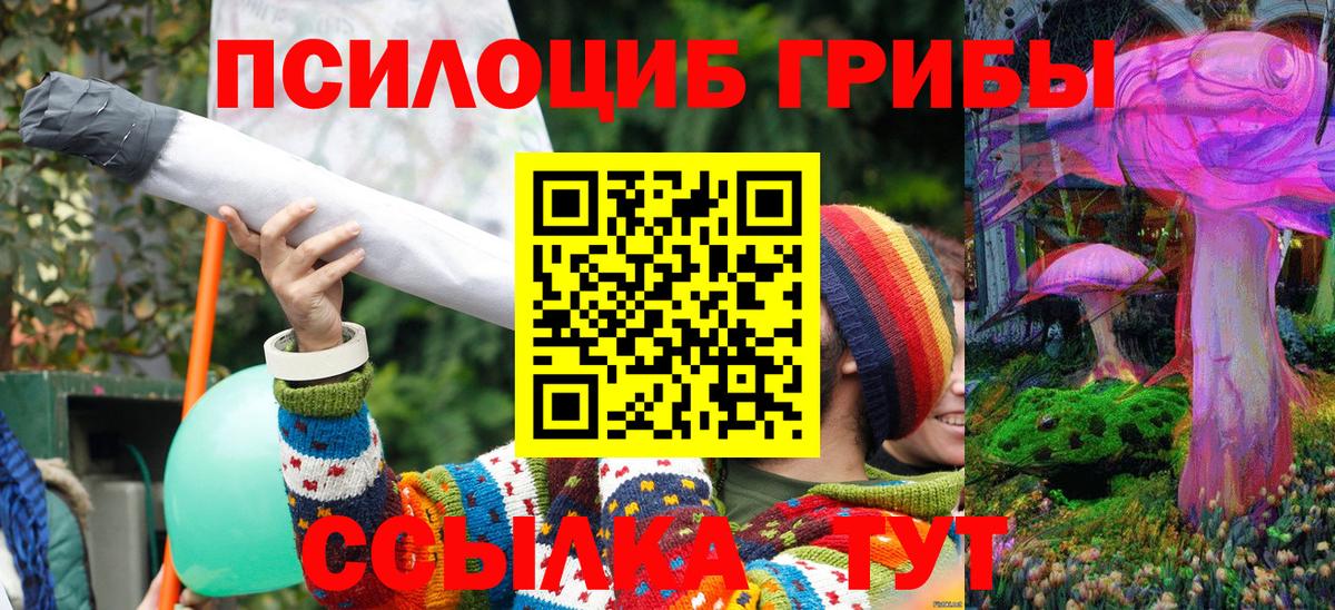 Южноуральск  Псилоцибиновые грибы ЛСД  Псилоцибиновые грибы Psilocybe  Вход с VPN 