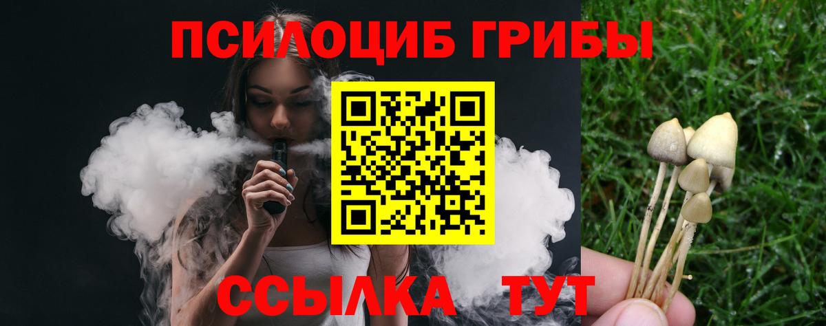 Псилоцибиновые грибы Psilocybe Южноуральск