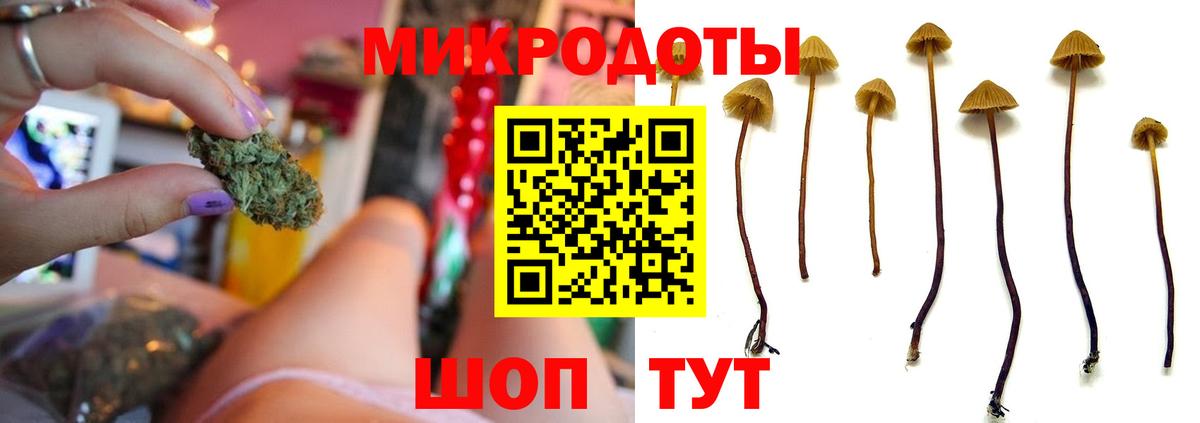 Галлюциногенные грибы Psilocybine cubensis Южноуральск