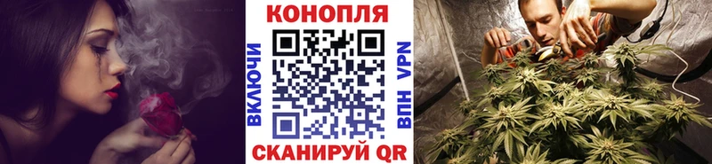 Бошки марихуана семена  наркотики  Южноуральск 